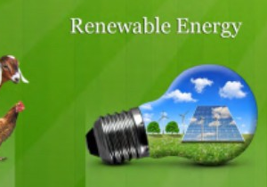 Renewable Energy pillar illustration