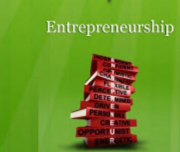Entrepreneurship pillar illustration