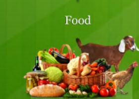 Food pillar illustration