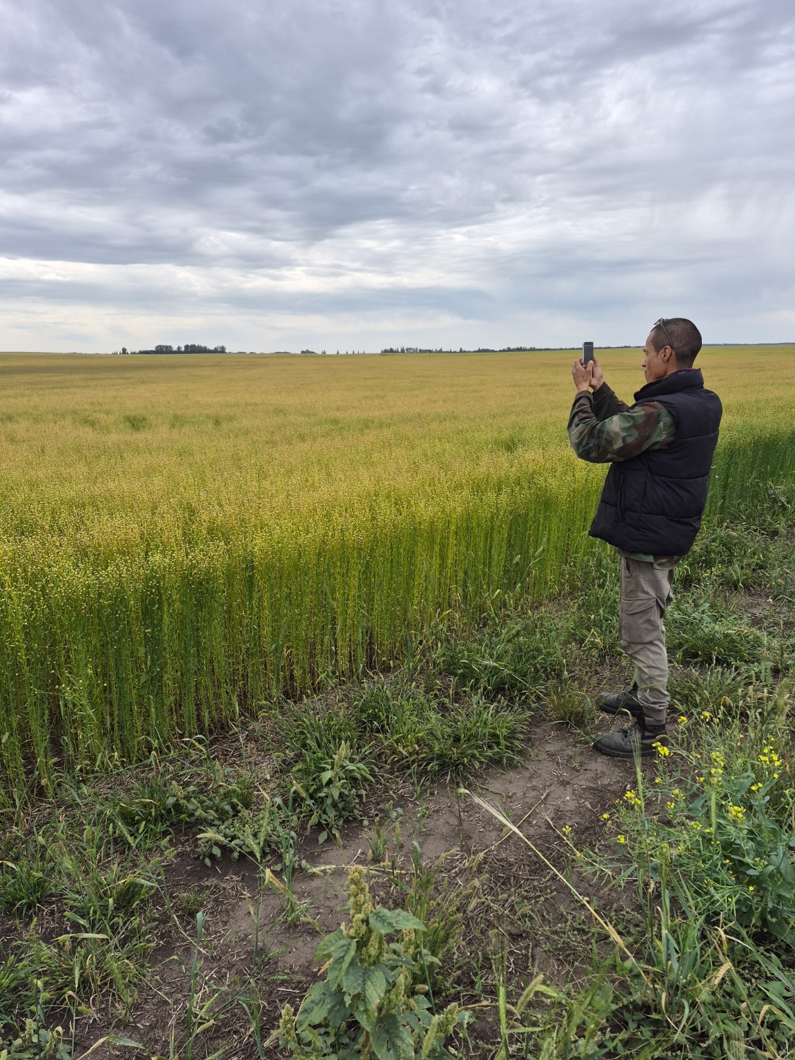 A person documenting the Biolin Research flax field